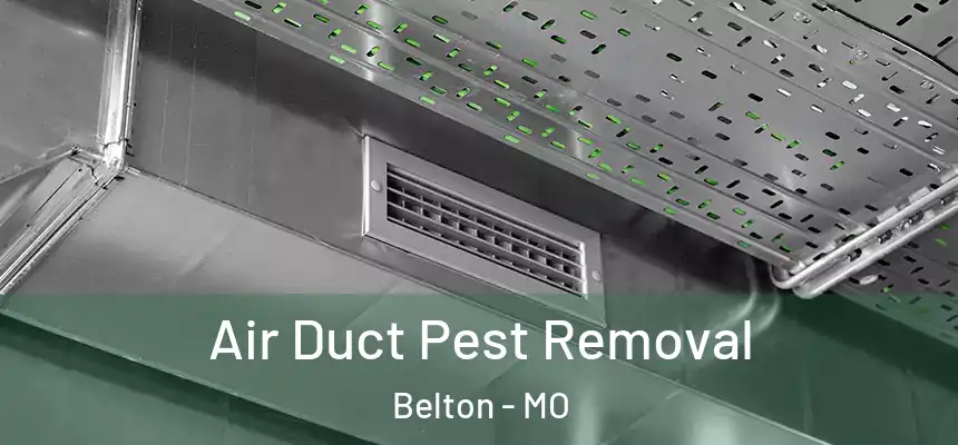 Air Duct Pest Removal Belton - MO