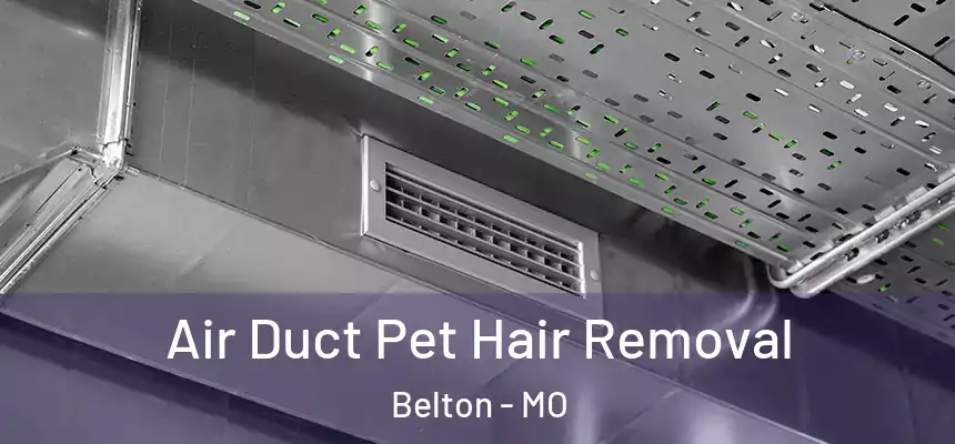  Air Duct Pet Hair Removal Belton - MO