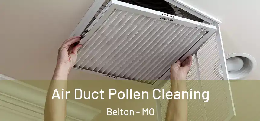  Air Duct Pollen Cleaning Belton - MO