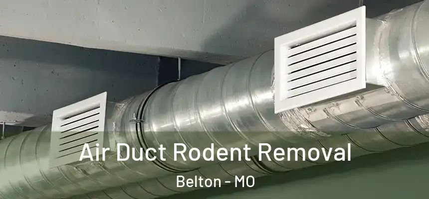 Air Duct Rodent Removal Belton - MO