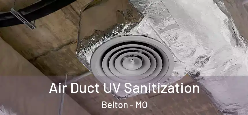  Air Duct UV Sanitization Belton - MO