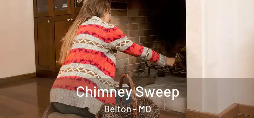  Chimney Sweep Belton - MO