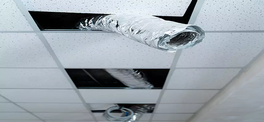 Our Air Duct Pet Hair Removal Services in Belton, MO