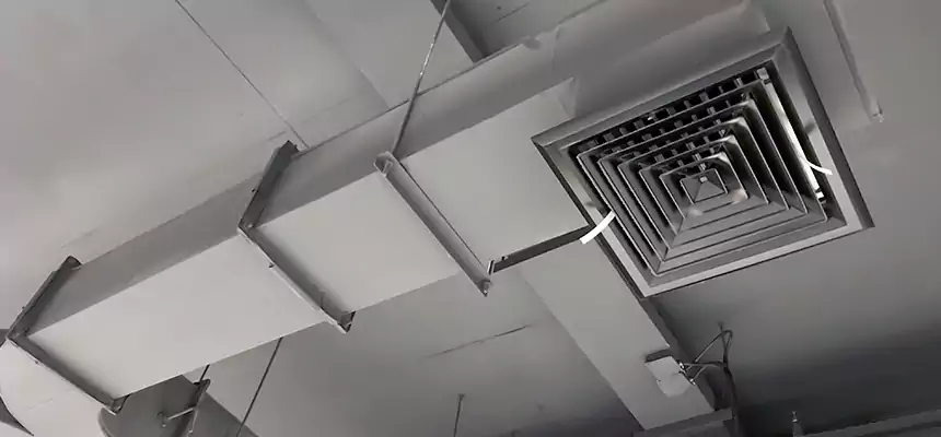 Restorative Allergy Relief Vent Cleaning – Coil, Blower & Housing Detail in Belton