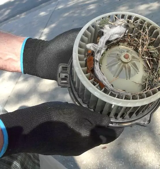 About Air Duct Rat Removal in Belton, MO