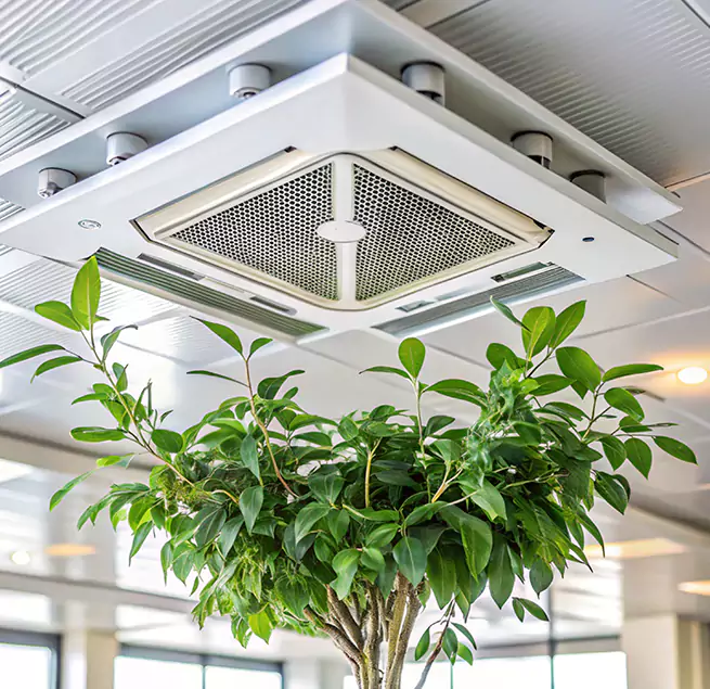 Why Homeowners & Businesses Trust Us in Belton, MO